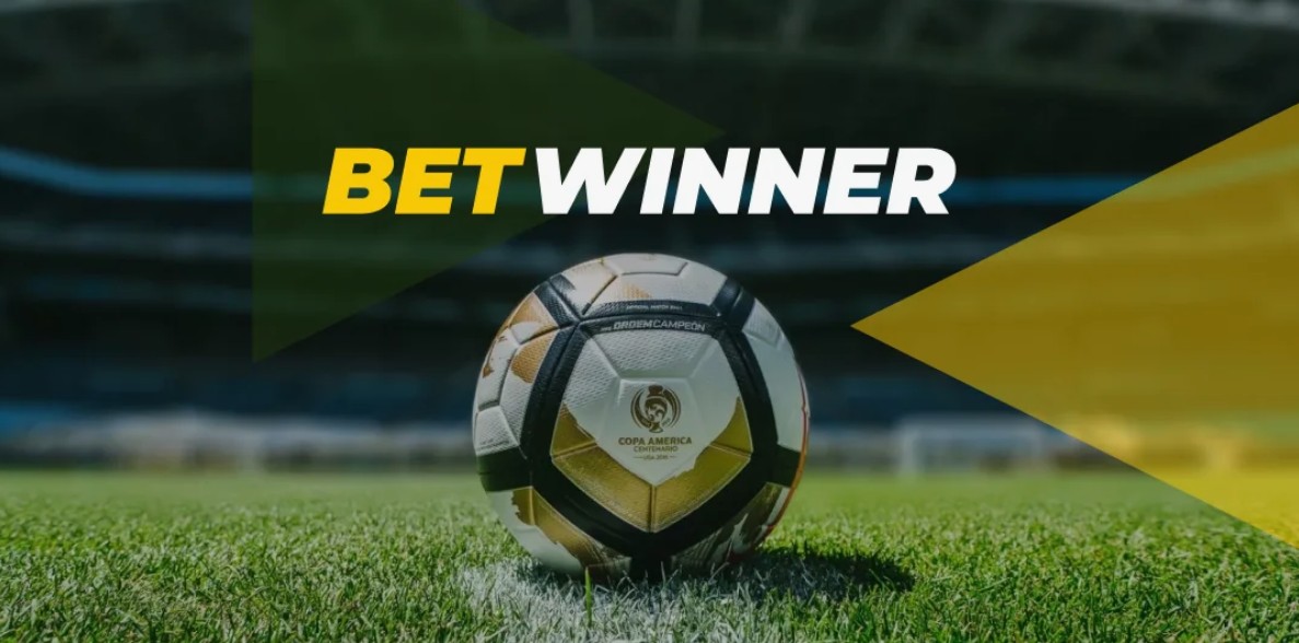 Découverte du programme Betwinner Affiliate