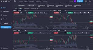 The Rise of Cryptocurrency Trading with PrimeXBT The Rise of Cryptocurrency Trading with PrimeXBT